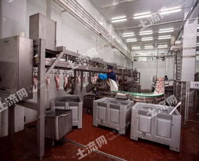 俄羅斯38250平方米現(xiàn)代化肉類(lèi)加工廠(chǎng)轉(zhuǎn)讓?zhuān)诤暇W(wǎng)絡(luò)技術(shù)開(kāi)發(fā)新機(jī)遇